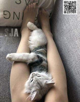 完美搭配 在线观看_高清电影在线看