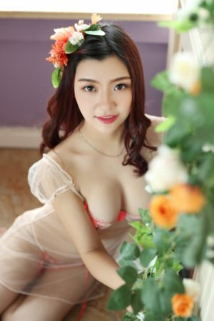 红楼春上春在线观看_国产剧完整视频观看
